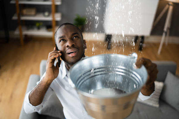 Best Flood damage cleanup  in Magalia, CA