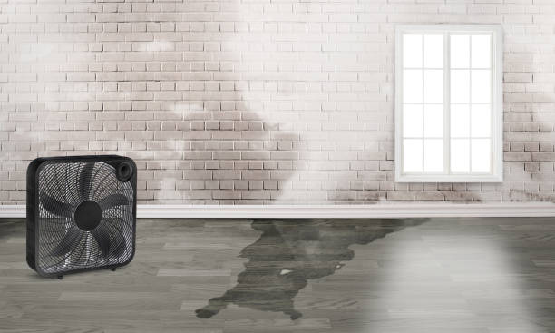Best Ceiling water damage repair  in Magalia, CA