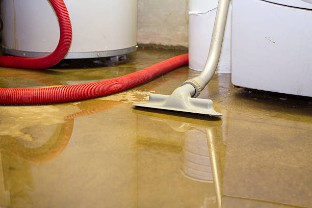 Best Water damage contractors near me  in Magalia, CA