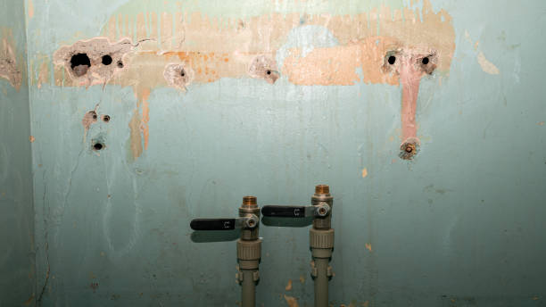 Best Residential water damage restoration  in Magalia, CA