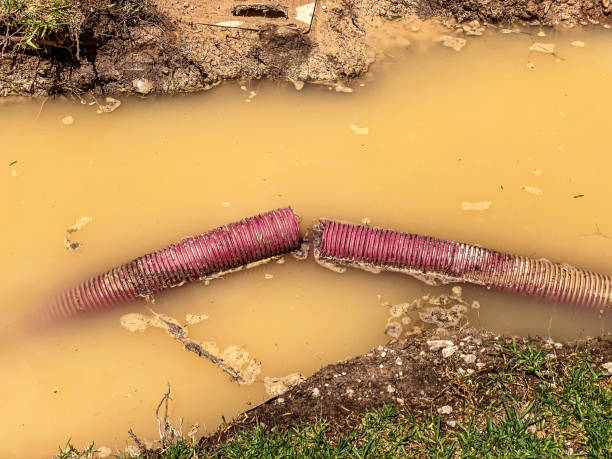 Best Local water damage restoration  in Magalia, CA