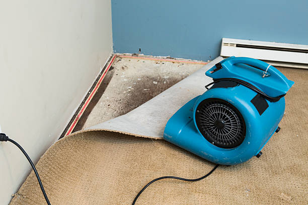 Best Flood restoration services  in Magalia, CA